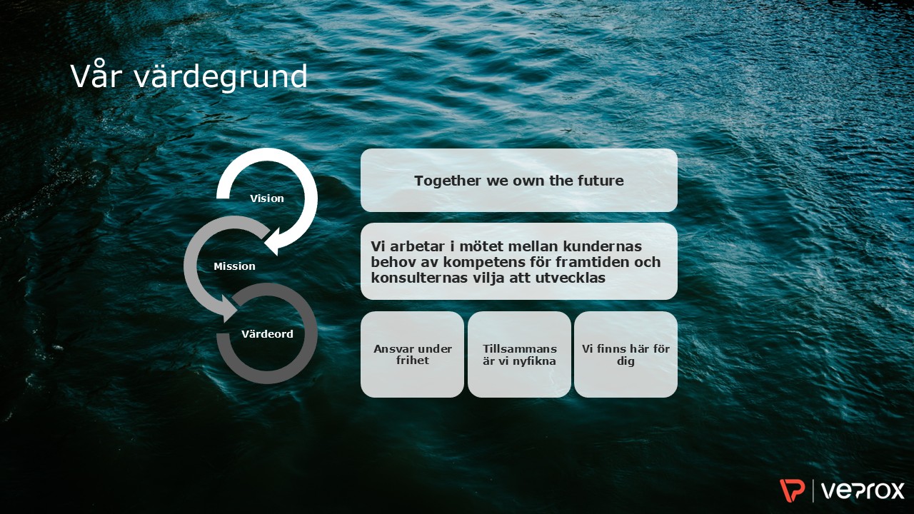 Veprox värdegrund vision, mission & värdeord
